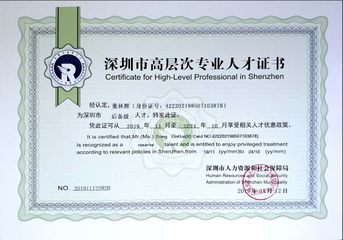 深圳市高层次专业人才