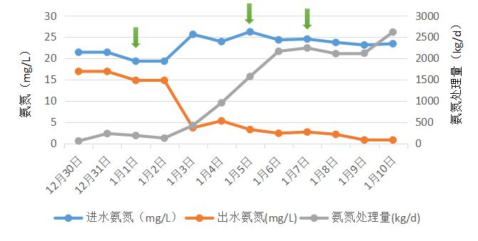 城镇污水处理生化系统修复项目