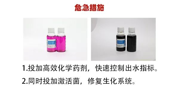 生化系统崩溃应急补救措施