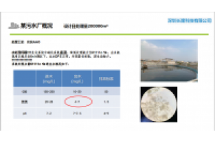 氨氮达标/提标生物去除技术介绍