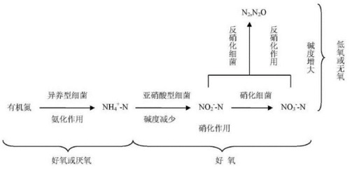 脱氮原理示意图