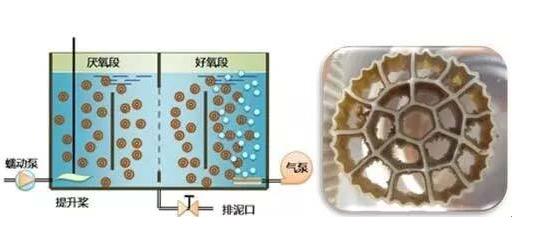 生物膜反应器