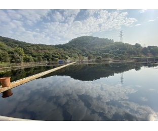 广西某生活污水氨氮去除处理案例—库巴鲁