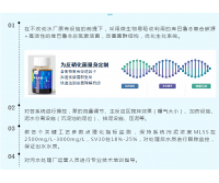 电池化工废水总氮处理案例