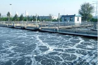 怎么提高污水厂总氨处理能力