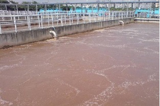 氨氮在生化过程中的去除