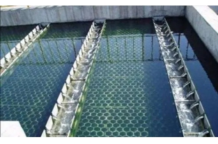 【干货】生物滤池为什么一受冲击氨氮去除率就会下降?