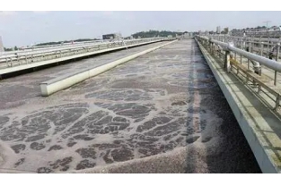 【重要】水中溶解氧越高,处理效果越好么?