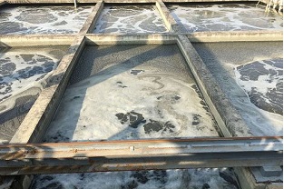 总氮怎样用药剂去除(总氮用什么方法去除)