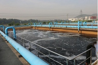 制革废水除总氮（复合碳源除总氮）