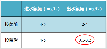 安徽某生活污水处理案例