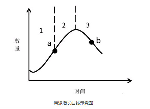 活性污泥增长曲线示意图