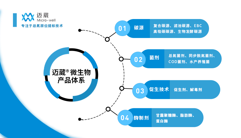 迈葳专注于总氮原位提标技术