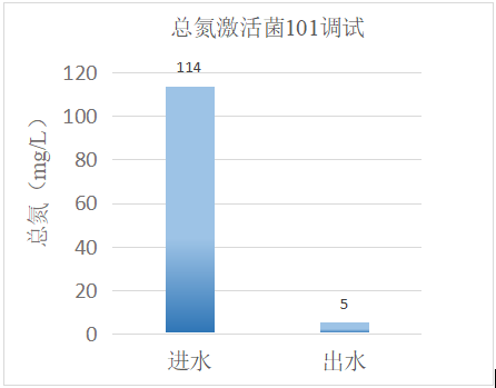 金属表面废水处理-总氮去除菌101调试