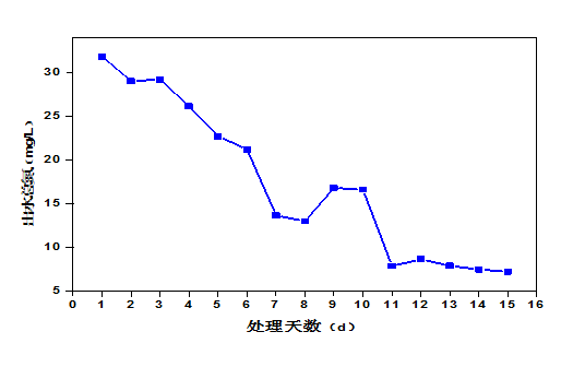 屠宰废水生化系统改造，总氮达标方案