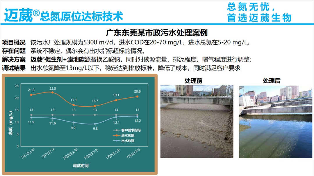 总氮原位达标技术案例-市政污水处理