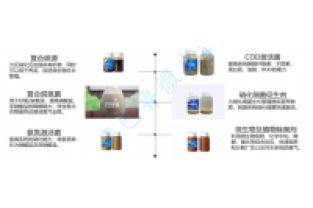 线路板废水处理之生化脱氮