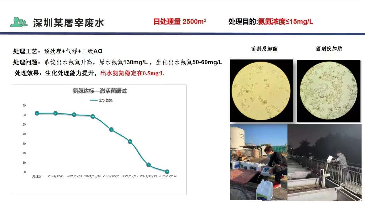 低温微生物激活菌