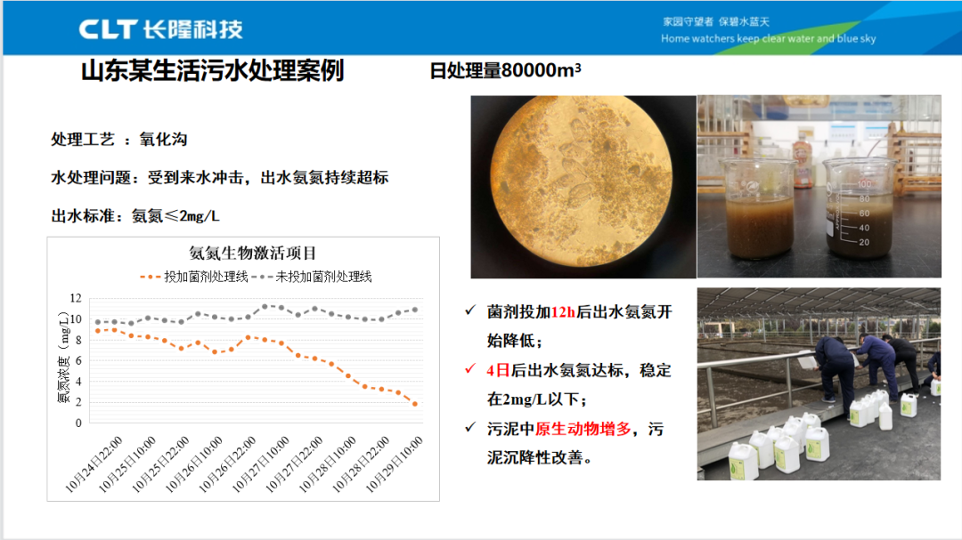 氨氮激活菌202应用案例