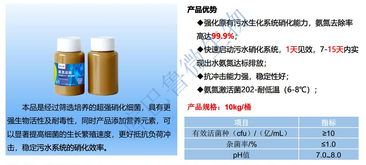 低温氨氮激活菌