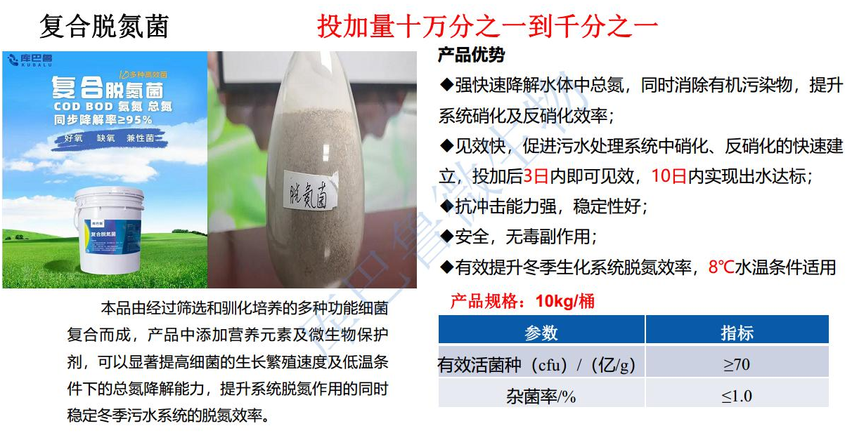 低温复合脱氮菌