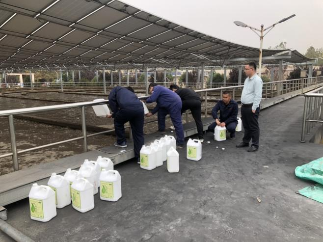 山东某生活污水处理案例冬季低温氨氮降解案例