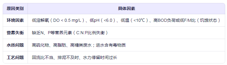 丝状菌膨胀的成因分析