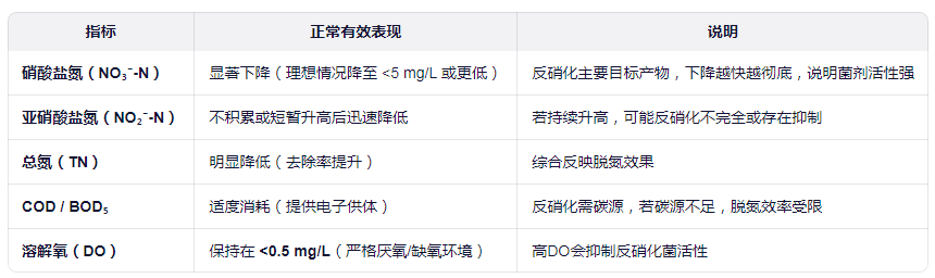 投加反硝化菌剂后如何判断效果