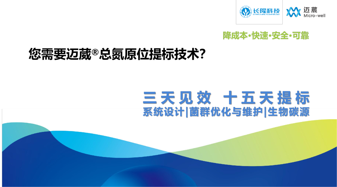 总氮原位提标技术